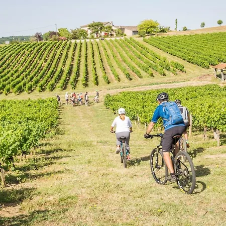 Villa La Durantie Castelnau-de-Montmiral