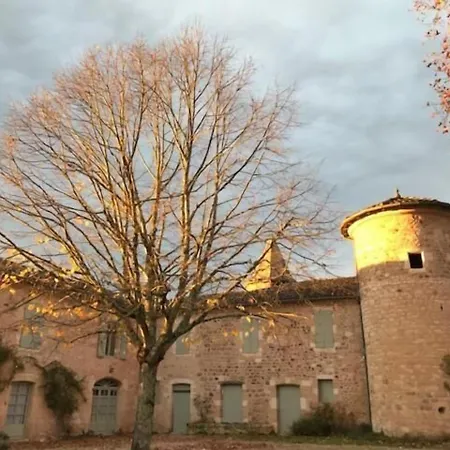 La Durantie Villa Castelnau-de-Montmiral