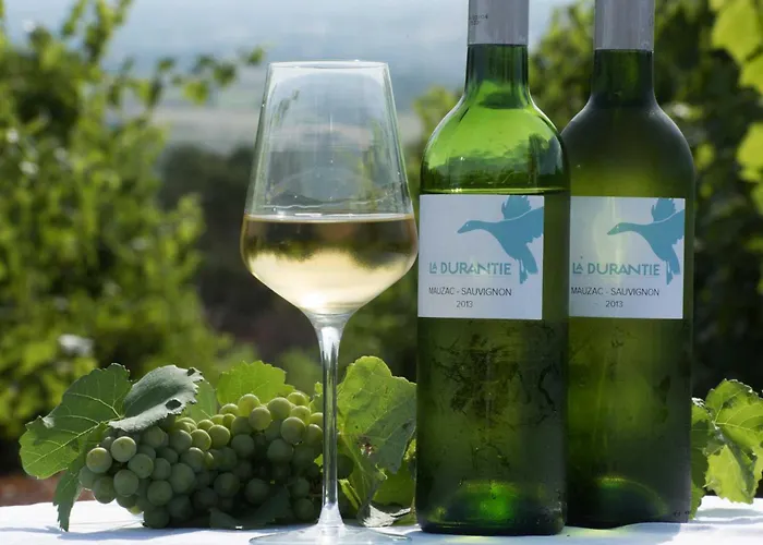 فيلة La Durantie - Avec Piscine *