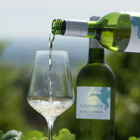 La Durantie - Avec Piscine * Castelnau-de-Montmiral