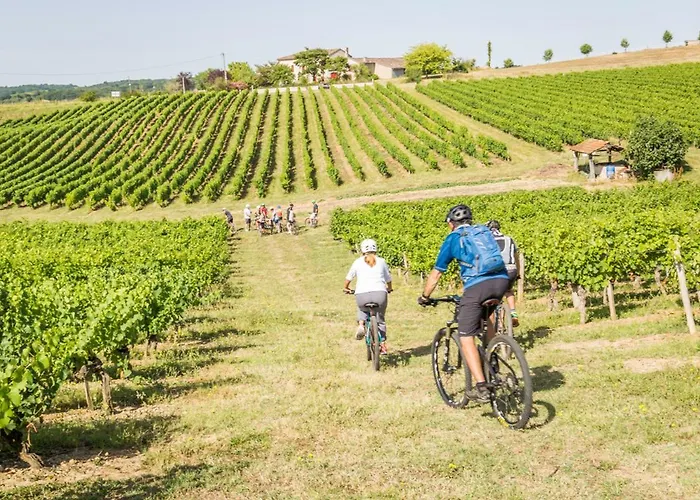 Vila La Durantie - Avec Piscine Castelnau-de-Montmiral