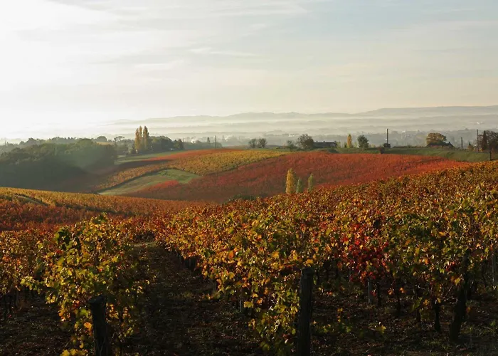 La Durantie - Avec Piscine Vila *