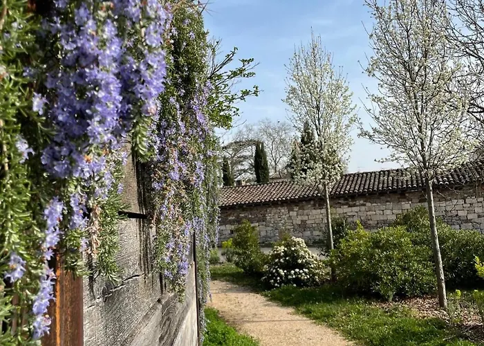 La Durantie - Avec Piscine * Castelnau-de-Montmiral