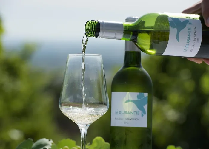 La Durantie - Avec Piscine * Castelnau-de-Montmiral