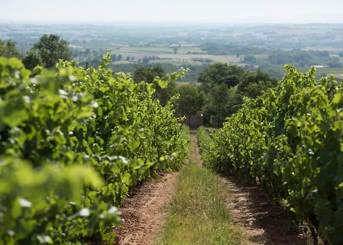 La Durantie - Avec Piscine